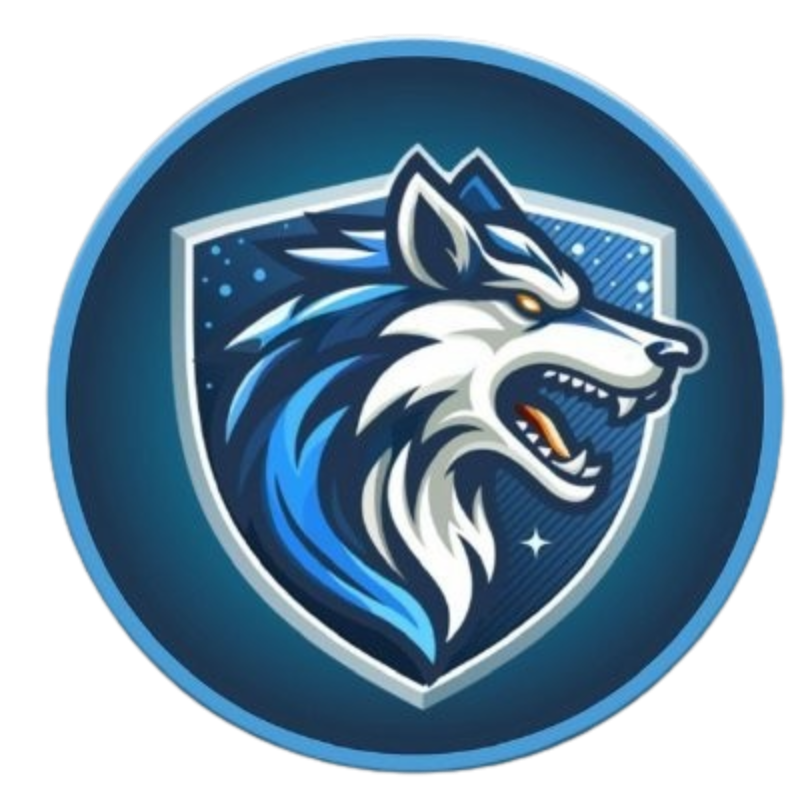 Loudoun Sports Academy