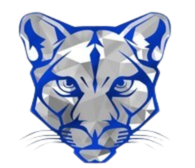 CAM High School