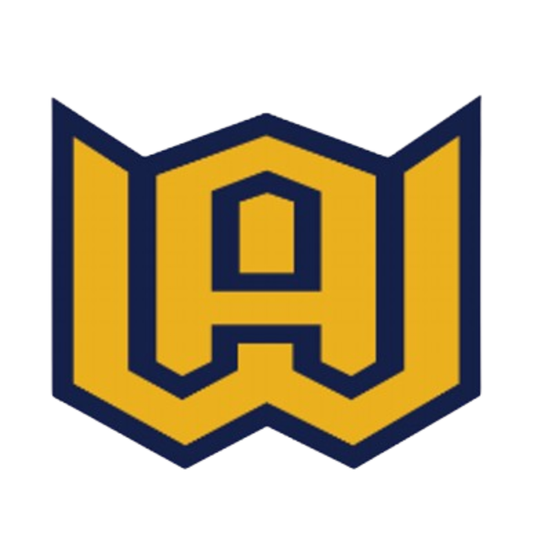 The Woodstock Academy